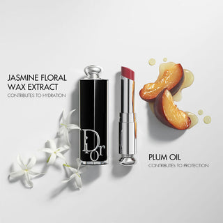 Dior Addict Refillable Shine Lipstick - 740 Saddle