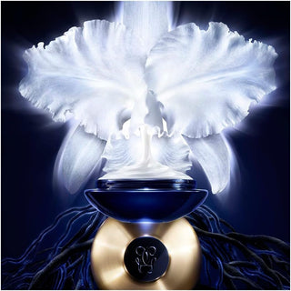 Buy Guerlain Imperial Complete Care Light Cream 50ML - Cult Beauty Pakistan